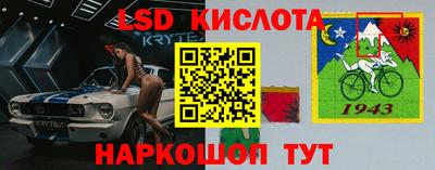 шишки Пенза