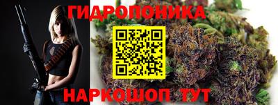 шишки Пенза